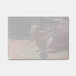 Post-it® Un chameau Brown fixant avec la selle et la