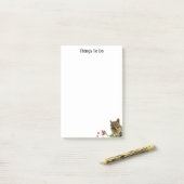 Post-it® Un Écureuil Sauvage À Faire (Sur un bureau)