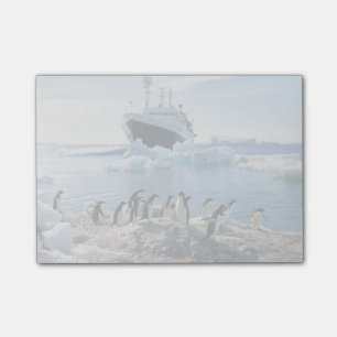 Post-it® Un Groupe De Pingouins Se Trouvant Sur Une Plage D