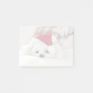 Post-it® Un mignon chien blanc dans un Casquette de Noël ro