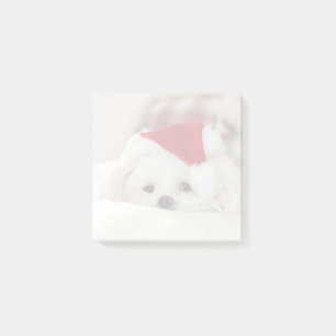 Post-it® Un mignon chien blanc dans un Casquette de Noël ro