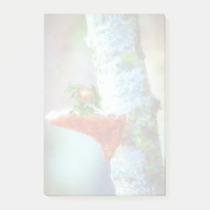 Post-it® Un Petit Dragon Dort