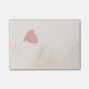 Post-it® Un seul pavot rouge dans un champ de graminées