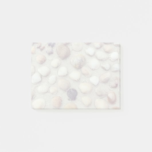 Post-it® Une collection de coquillages (Devant)