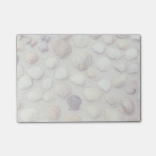 Post-it® Une collection de coquillages