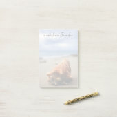 Post-it® Une conque Shell sur le St Croix, Usvi de la plage (Sur un bureau)