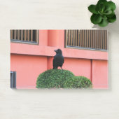 Post-it® Une Jungle À Gros Billages Croque Une Perche Sur U (Bureau)