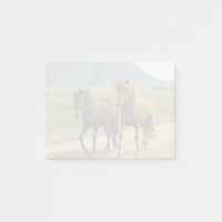 Une paire de poneys islandais bruns
