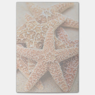 Post-it® Une pile de grandes étoiles de mer de sucre