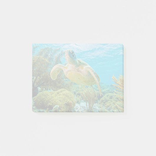 Post-it® Une Tortue Verte Sur Les Récifs Peu Profonds De Bo (Devant)