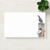 Post-it® Valley Quail Photo 10x6 Notes Papeterie (Bureau)