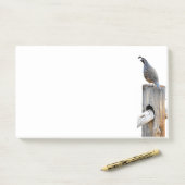 Post-it® Valley Quail Photo 10x6 Notes Papeterie (Sur un bureau)