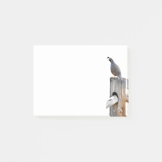 Post-it® Valley Quail Photo 4x3 Notes Papier (Devant)