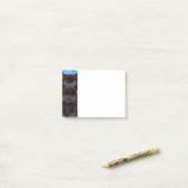 Post-it® Van Gogh Starry Night Black Cat (Sur un bureau)