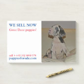 Post-it® Vente de marionnettes notes (Sur un bureau)