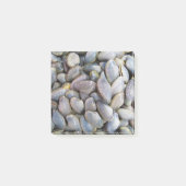 Post-it® Venus Clam [ห อ ย ล า ย] (Devant)