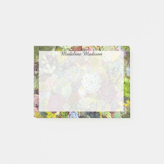 Post-it® Verdure colorée Succulents (Devant)