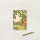 Post-it® Verger d'orange vintage (Sur un bureau)