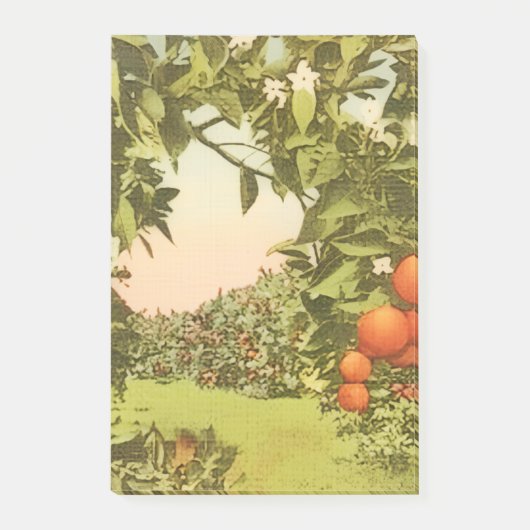 Post-it® Verger d'orange vintage (Devant)