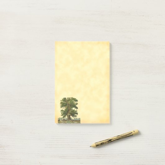 Post-it® Vintage arbre de chêne (Sur un bureau)