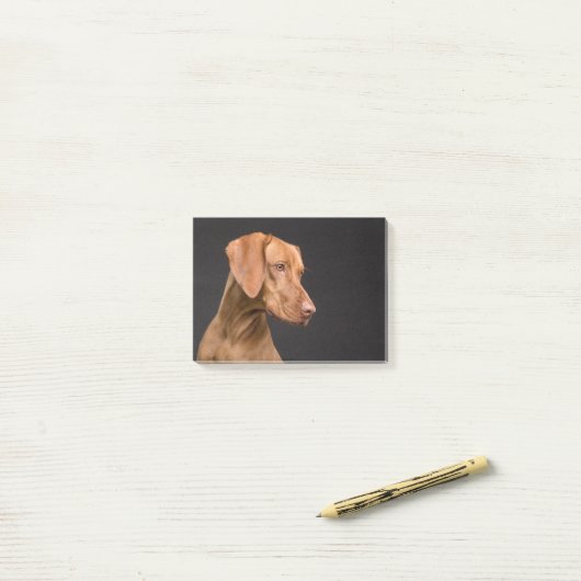 Post-it® Vizsla (Sur un bureau)