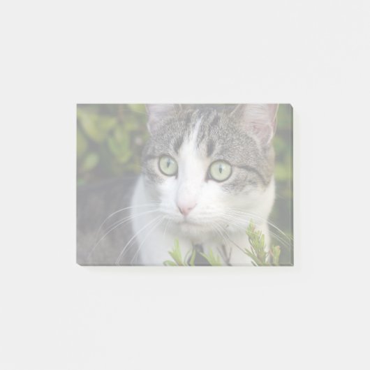 Post-it® Votre animal de compagnie photo cadeau personnalis (Devant)