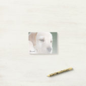 Post-it® Votre photo se fane automatiquement graduellement (Sur un bureau)