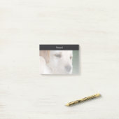 Post-it® Votre photo se fane automatiquement graduellement (Sur un bureau)