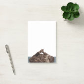 Post-it® Weasels d'eau en jeu - Jote Otter (Bureau)