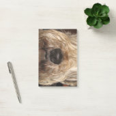Post-it® wheaton enduit mou terrier.png (Bureau)