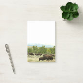 Post-it® Wyoming Bison Nature Animal Photographie (Bureau)