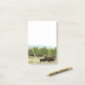 Post-it® Wyoming Bison Nature Animal Photographie (Sur un bureau)