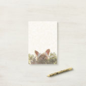 Post-it® Yorkshire Terrier s'étendant dans Sun léchant des (Sur un bureau)