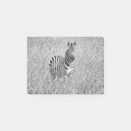 Post-it® Zebra (Devant)