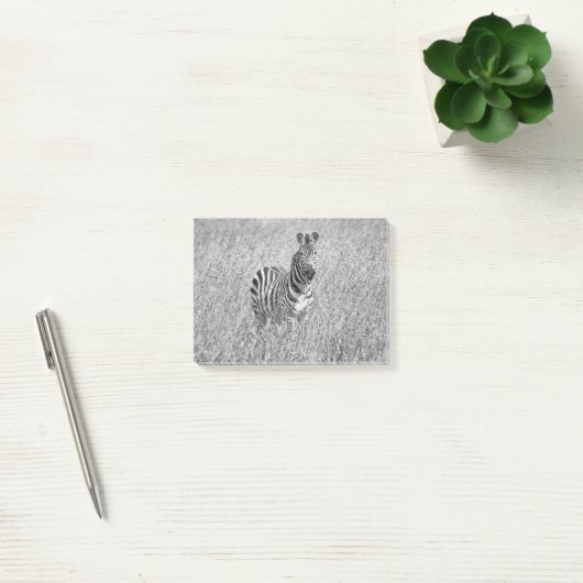 Post-it® Zebra (Bureau)