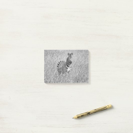 Post-it® Zebra (Sur un bureau)