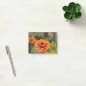 Post-it® Zinnia assez orange (Bureau)