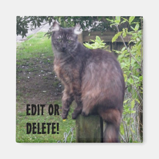 Post Kat Magneet