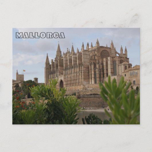 post van de Catedral de Mallorca - Majorca Briefkaart (Voorkant)