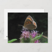 Postal mariposa briefkaart (Voorkant / Achterkant)