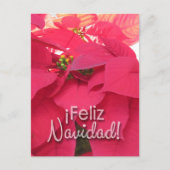 Postal Xmas 001 - Spanish - Postcard Briefkaart (Voorkant)
