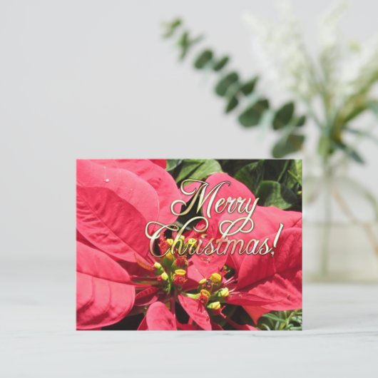 Postal Xmas 002 - Postcard Briefkaart (Staand voorkant)