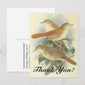 Postale 3 Oiseaux perchés sur une branche "Merci"! Carte p (Devant / Derrière)