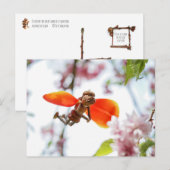 Postale Acorn elf fille comme tulip fée printemps carte po (Devant / Derrière)