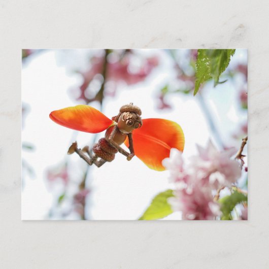 Postale Acorn elf fille comme tulip fée printemps carte po (Devant)