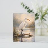 Postale Aigrette à tête noire | Faune côtière | Carte post (Debout devant)