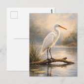 Postale Aigrette à tête noire | Faune côtière | Carte post (Devant / Derrière)