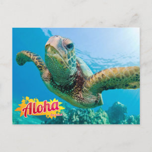 Postale Aloha de Hawaii Honu Green Sea Turtle Carte postal