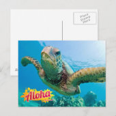 Postale Aloha de Hawaii Honu Green Sea Turtle Carte postal (Devant / Derrière)