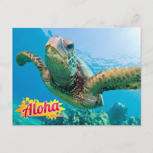 Postale Aloha de Hawaii Honu Green Sea Turtle Carte postal (Devant)